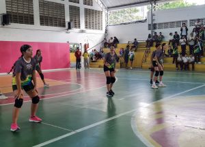 JOGOS INTERNOS FÊNIX - JIF’S 
