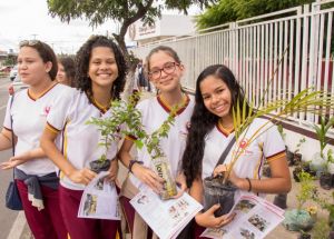 PARADA ECOLÓGICA