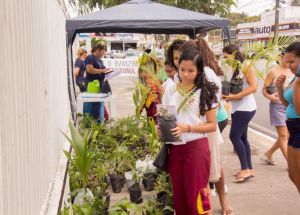 PARADA ECOLÓGICA