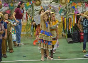 Arraiá do Fênix