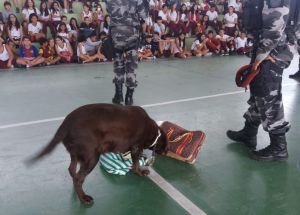 APRESENTAÇÃO DA POLICIA MILITAR