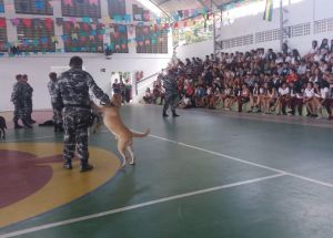 APRESENTAÇÃO DA POLICIA MILITAR