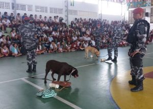 APRESENTAÇÃO DA POLICIA MILITAR