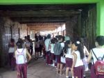 Aula de Campo - 3º ano